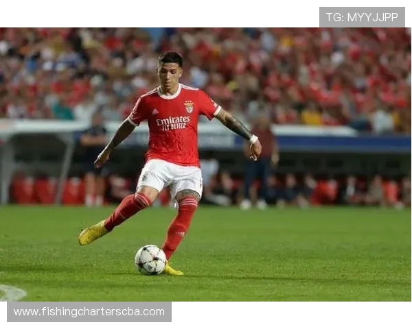 罗尔费斯：格里马尔多回望本菲卡，心怀期待与楷模重逢